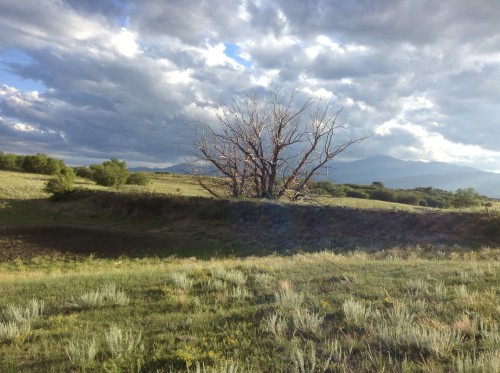 View from the Ranch