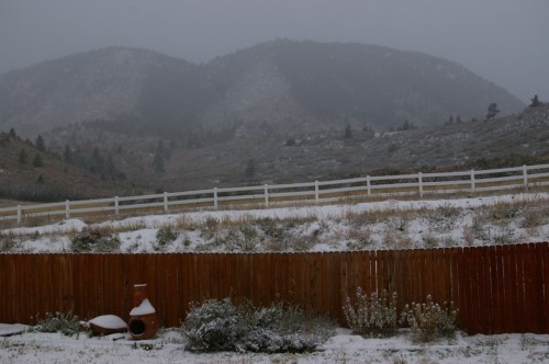 First Snow