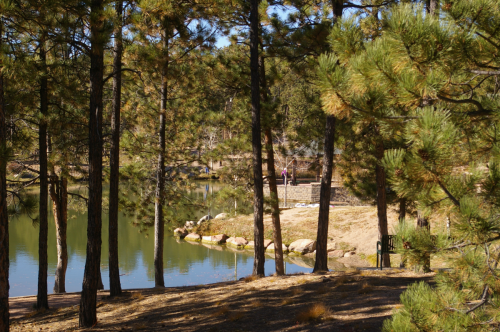 Fox Run Park