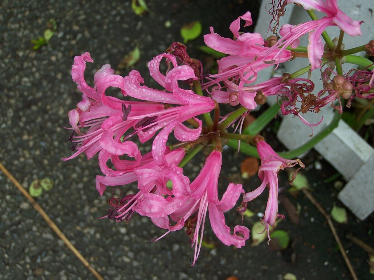 wp-11977.jpg image