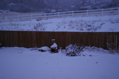 Winter Evening