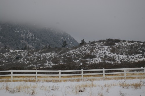 Another Snowy Day