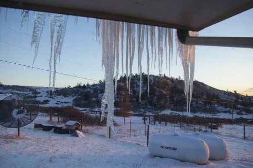 Icicles