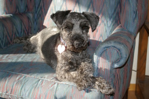 Rion Basking in the Sun