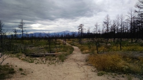 Black Forest Regional Park