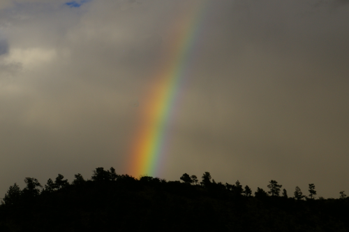 Patch of Rainbow