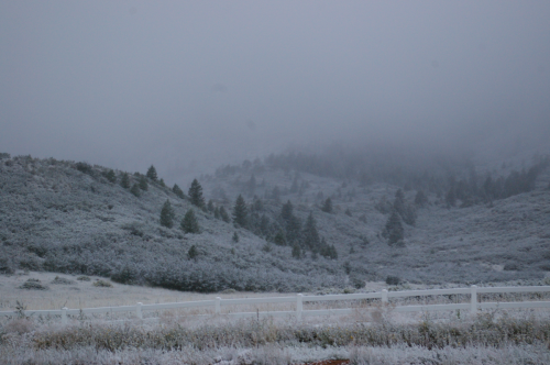 First Snow