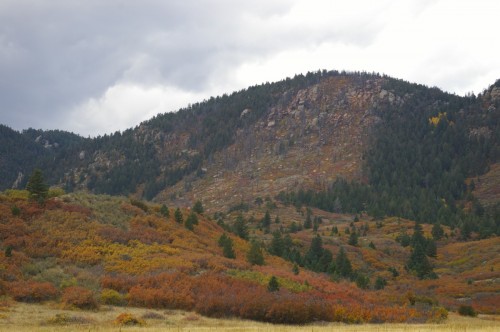 October Hillside