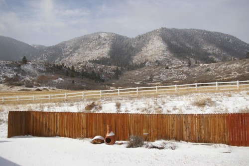 Snowy December Day