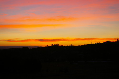 Morning Streaks