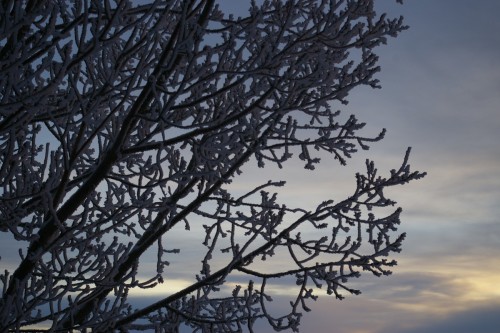 Winter Wonderland 2015