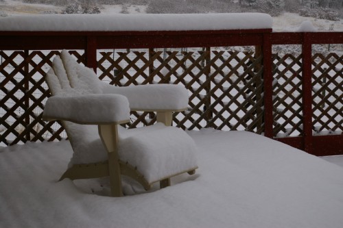 snow20150121back
