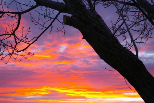 20150212sunrise