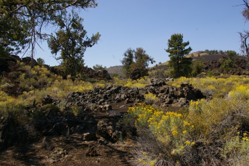Devil's Garden