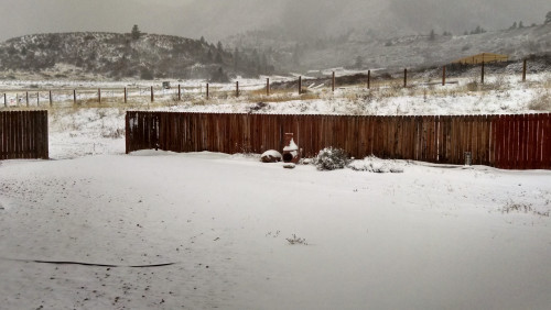 Snowy Day