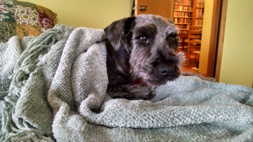 Rion Wrapped Up