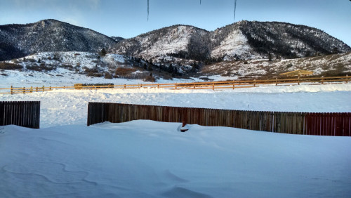 20160205snowfall_small