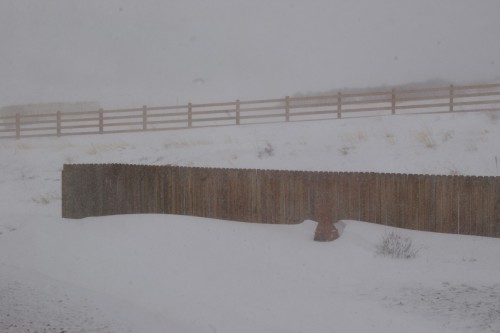 Spring Snow Storm