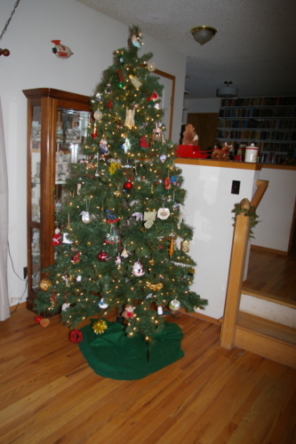 20161203tree