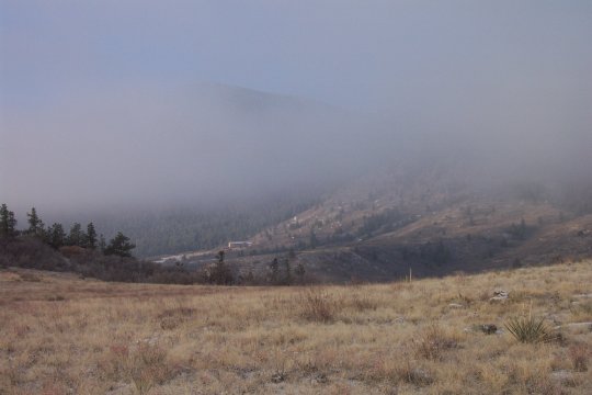 fog.jpg