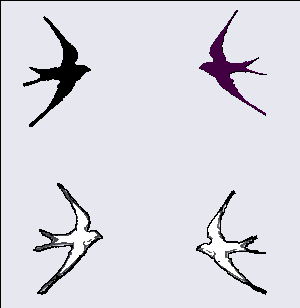 Swallow Pattern
