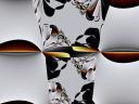 Broken Symmetry