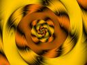 Coiled Sunset