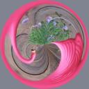 Flamingo.jpg