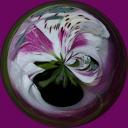 Flower_Orb.jpg