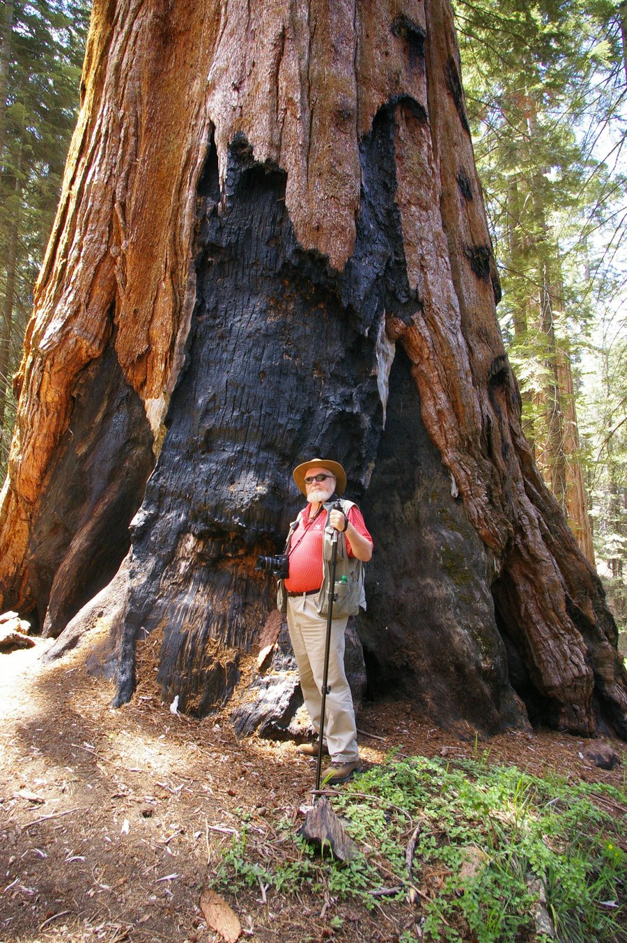 Jack_at_Sequoia_National_Park.jpg