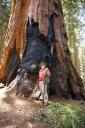 Jack_at_Sequoia_National_Park.jpg