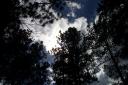Colorado