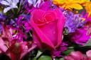 Birthday_Flowers.jpg