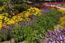 Flowers_-_Denver_Botanical_Garden.jpg
