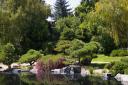 Japanese_Garden.jpg