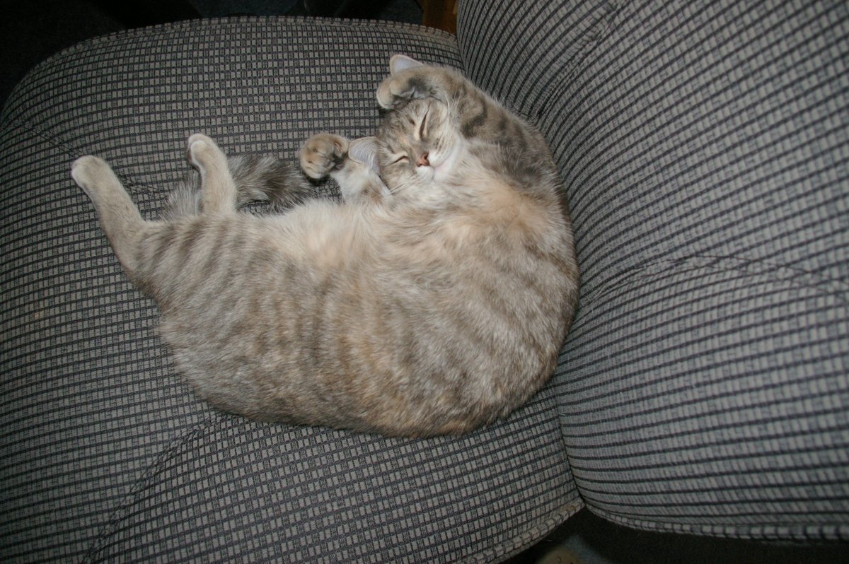 Rub_My_Tummy.jpg