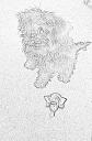 Pencil Sketch Orion