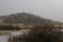 Dreary.jpg