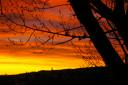 Sunrise_with_branches.jpg