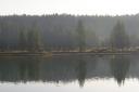 Bison_Across_Yellowstone_River.jpg