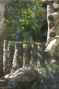 Find_the_Tiger.jpg