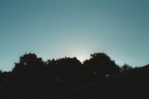 001393.jpg