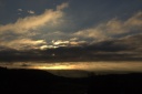 20110407morningglory.png