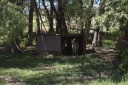 20110607burros.png