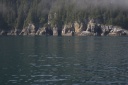 20110730babyorca.png