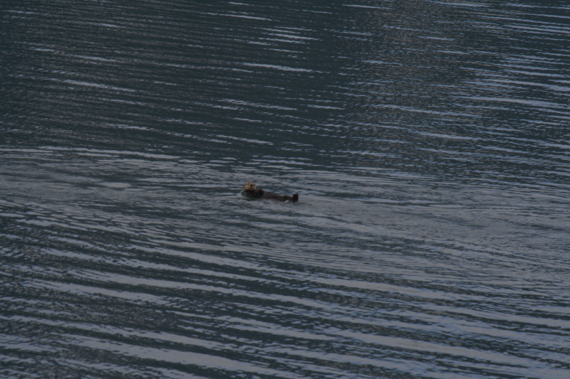 IMG_2849.png