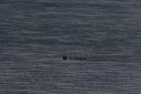 IMG_2839.png