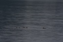 IMG 2847