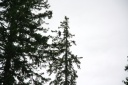 IMG_3470.png