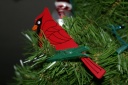 20111215cardinal.png